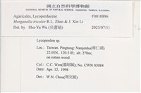 登錄號:F0010896藏品圖，第3張