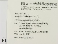 登錄號:F0010899藏品圖，第2張
