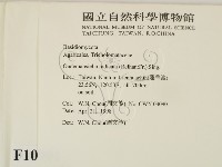 登錄號:F0010901藏品圖，第2張