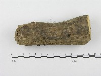 登錄號:F0010904藏品圖，第1張