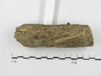 登錄號:F0010904藏品圖，第3張