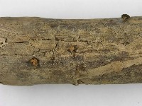 登錄號:F0010904藏品圖，第5張