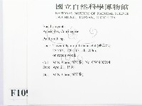 登錄號:F0010905藏品圖，第2張