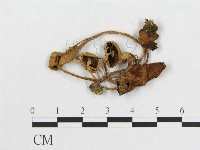 登錄號:F0010905藏品圖，第1張