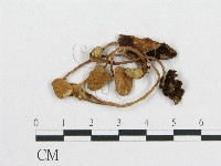 登錄號:F0010905藏品圖，第3張