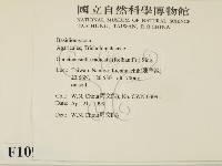 登錄號:F0010906藏品圖，第2張