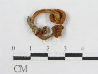 登錄號:F0010907藏品圖，第1張