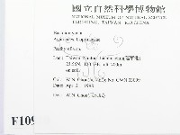 登錄號:F0010910藏品圖，第2張