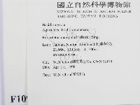 登錄號:F0010911藏品圖，第2張