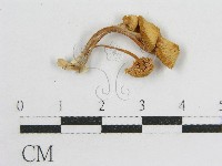 登錄號:F0010911藏品圖，第1張