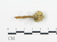 登錄號:F0010914藏品圖，第1張