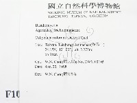 登錄號:F0010916藏品圖，第2張