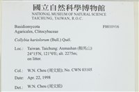 登錄號:F0010916藏品圖，第4張