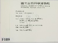 小菇屬藏品圖，第2張