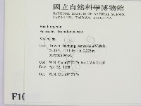 小菇屬藏品圖，第2張