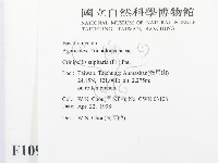 登錄號:F0010919藏品圖，第2張