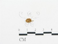 登錄號:F0010919藏品圖，第3張