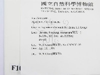 登錄號:F0010921藏品圖，第2張