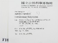 登錄號:F0010922藏品圖，第2張