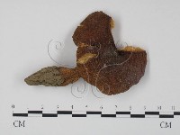 登錄號:F0010923藏品圖，第1張