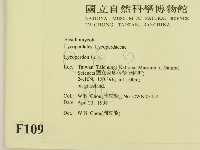 登錄號:F0010924藏品圖，第2張