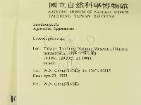 登錄號:F0010925藏品圖，第2張