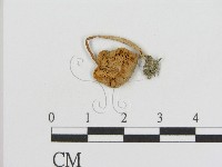 登錄號:F0010926藏品圖，第3張
