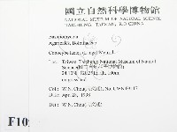 登錄號:F0010927藏品圖，第2張
