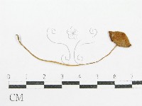 登錄號:F0010927藏品圖，第1張