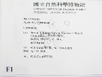鬼傘屬藏品圖，第2張