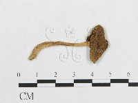 登錄號:F0010931藏品圖，第3張