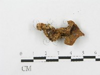 登錄號:F0010933藏品圖，第3張