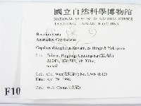登錄號:F0010934藏品圖，第2張