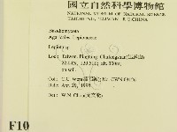 登錄號:F0010935藏品圖，第2張