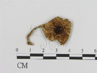 登錄號:F0010935藏品圖，第1張
