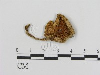 登錄號:F0010935藏品圖，第3張