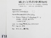 登錄號:F0010936藏品圖，第2張