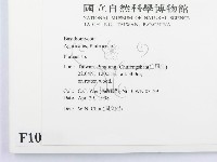 登錄號:F0010938藏品圖，第2張