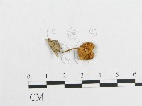 登錄號:F0010938藏品圖，第3張