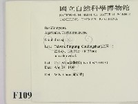登錄號:F0010939藏品圖，第2張