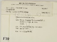 登錄號:F0010940藏品圖，第2張