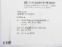 粉褶菌屬藏品圖，第2張