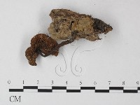 登錄號:F0010943藏品圖，第3張