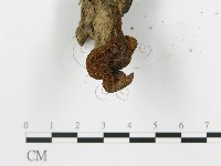 登錄號:F0010943藏品圖，第4張