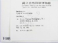 粉褶菌屬藏品圖，第2張