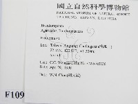 粉褶菌屬藏品圖，第2張