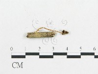 登錄號:F0010947藏品圖，第1張