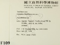 登錄號:F0010948藏品圖，第2張