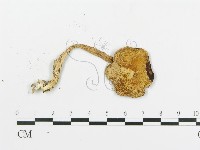 登錄號:F0010948藏品圖，第4張