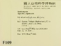 登錄號:F0010949藏品圖，第2張